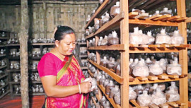 Mushroom farming in Bangladesh hills